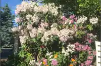 12250 AGAR STREET - thumbnail 33