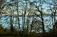 302 15621 MARINE DRIVE - thumbnail 30