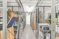 413 1576 MERKLIN STREET - thumbnail 21