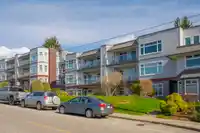 308 1220 FIR STREET - thumbnail 3