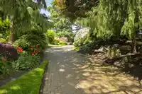 308 1220 FIR STREET - thumbnail 39