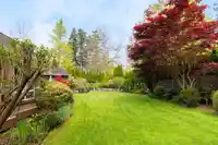 2488 138 STREET - thumbnail 30