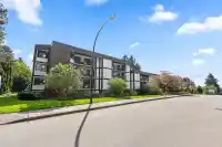 302 1520 VIDAL STREET - thumbnail 2