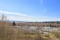 2218 OAK MEADOWS DRIVE - thumbnail 20