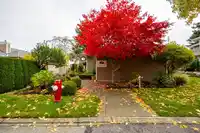 66 2500 152 STREET - thumbnail 36