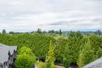 408 2960 151 STREET - thumbnail 22