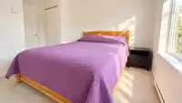 9 127 172 STREET - thumbnail 8