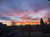 304 15991 THRIFT AVENUE - thumbnail 28
