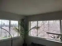 304 15991 THRIFT AVENUE - thumbnail 33