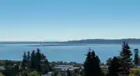 1040 LEE STREET - thumbnail 29
