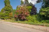 1590 BISHOP ROAD - thumbnail 5