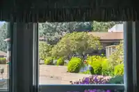 410 1350 VIDAL STREET - thumbnail 29