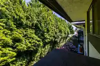 306 1561 VIDAL STREET - thumbnail 32