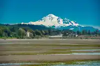 15176 BEACHVIEW AVENUE - thumbnail 32