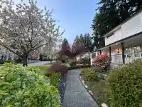 2296 129B STREET - thumbnail 3