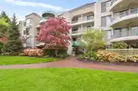 305 1705 MARTIN DRIVE - thumbnail 1