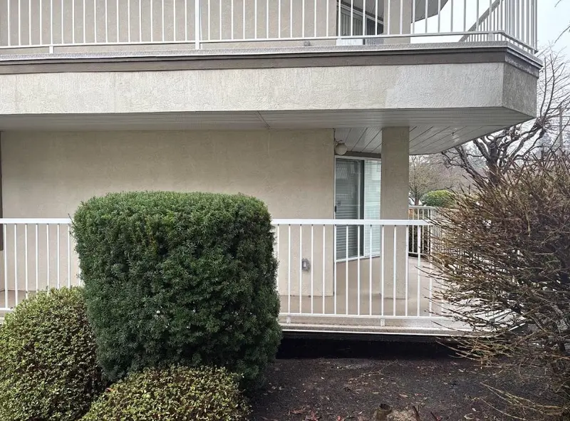 101 33401 MAYFAIR AVENUE - photo 3 of 9