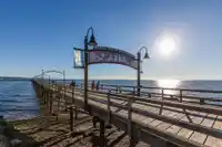 108 1561 VIDAL STREET - thumbnail 19