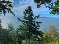 12581 16 AVENUE - thumbnail 10