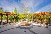 211 15436 31 AVENUE - thumbnail 31