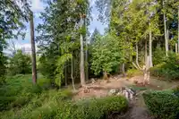 51 3618 150 STREET - thumbnail 35