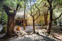 3530 142A STREET - thumbnail 4