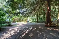 3530 142A STREET - thumbnail 8