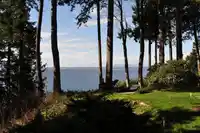1515 126A STREET - thumbnail 3
