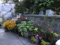 15134 VICTORIA AVENUE - thumbnail 34