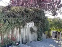 15134 VICTORIA AVENUE - thumbnail 39