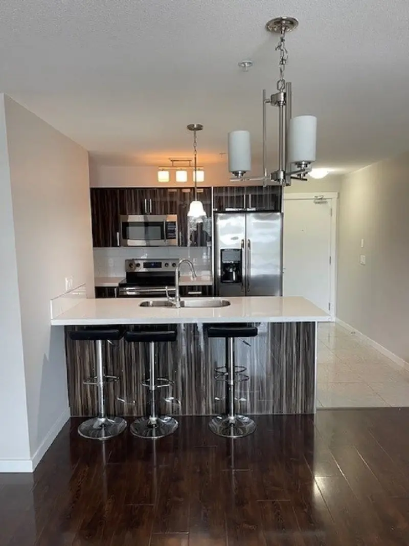 205 22318 LOUGHEED HIGHWAY - photo 3 of 20