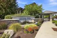 307 15175 36 AVENUE - thumbnail 38