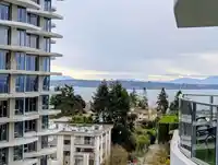 704 1500 MARTIN STREET - thumbnail 29