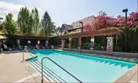 153 2501 161A STREET - thumbnail 40