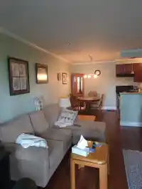 313 1448 FIR STREET - thumbnail 3