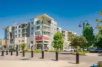 404 15850 26 AVENUE - thumbnail 38