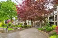 306 15195 36 AVENUE - thumbnail 1