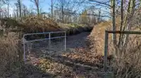 3011 184 STREET - thumbnail 17