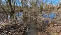 3011 184 STREET - thumbnail 21