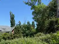 13 2978 159 STREET - thumbnail 25