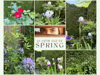 13 2978 159 STREET - thumbnail 26