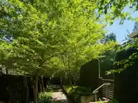 13 2978 159 STREET - thumbnail 4