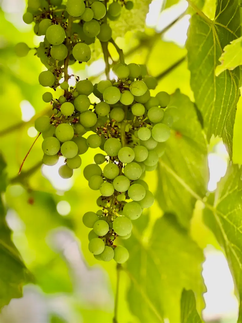 10495 YARMISH DRIVE - photo 3 of 25