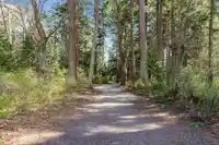 203 12890 17 AVENUE - thumbnail 34