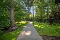 45 2738 158 STREET - thumbnail 34