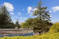211 1341 GEORGE STREET - thumbnail 24