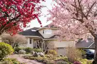 12708 17A AVENUE - thumbnail 1