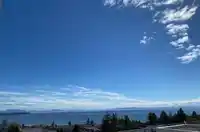 809 1441 JOHNSTON ROAD - thumbnail 16