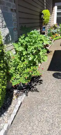 20 15273 24 AVENUE - thumbnail 37