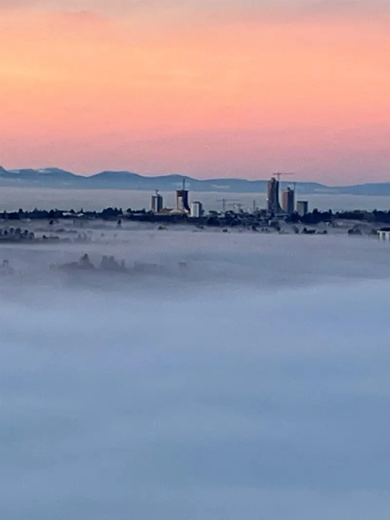 4409 2186 GILMORE AVENUE - photo 4 of 25